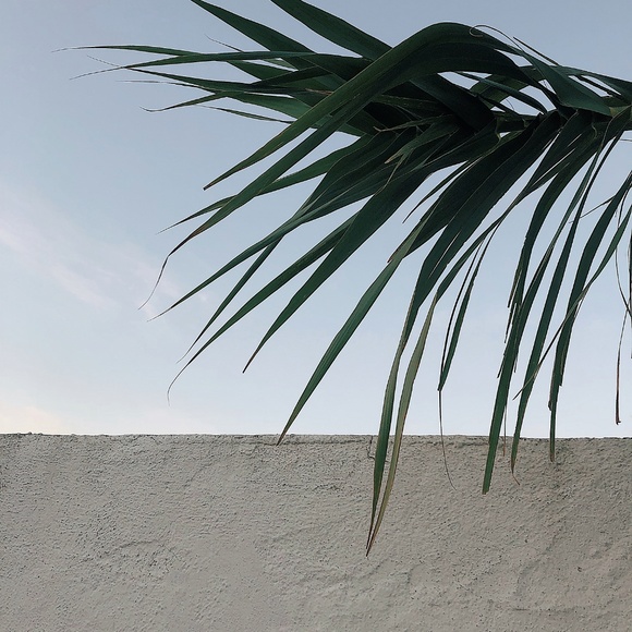 developing ⇔ creations in the making - Picture 5 of 5